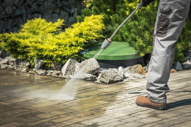 Best Solar Panel Cleaning  in Euless, TX